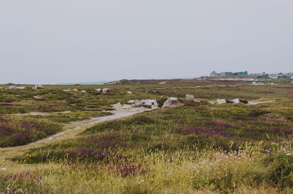 Découvrir le meilleur éclairage pour la photographie landaise